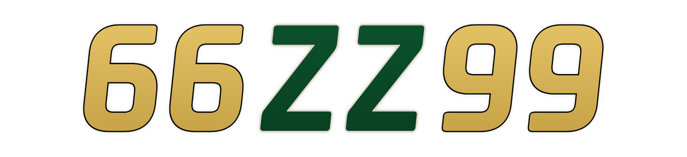66zz99